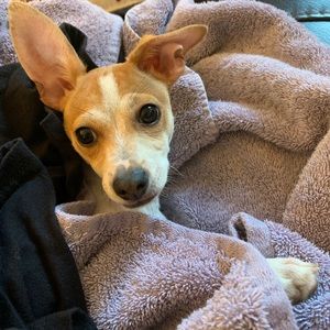 Meet your Posher, Gary